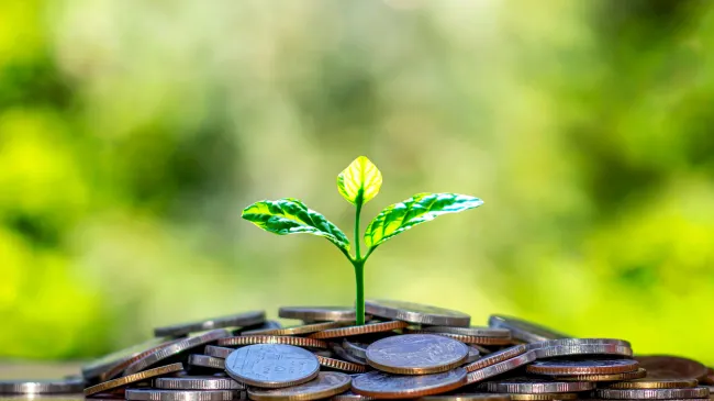 plant growing from coins